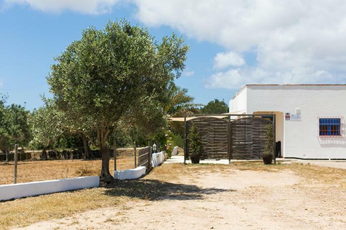 Ferienwohnung Ca Na Maria Teueta Sant Ferran de Ses Roques Exterior foto