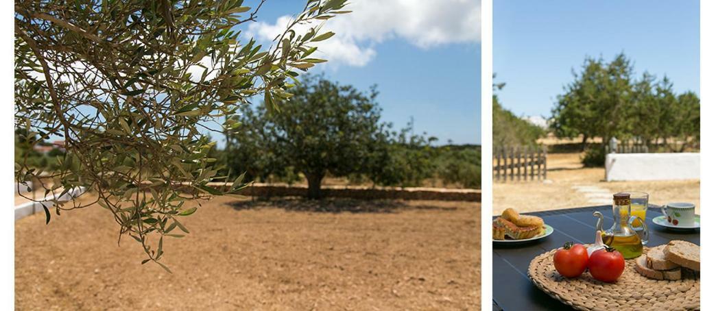 Ferienwohnung Ca Na Maria Teueta Sant Ferran de Ses Roques Exterior foto