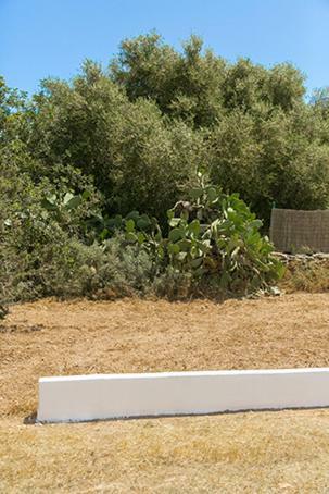 Ferienwohnung Ca Na Maria Teueta Sant Ferran de Ses Roques Exterior foto