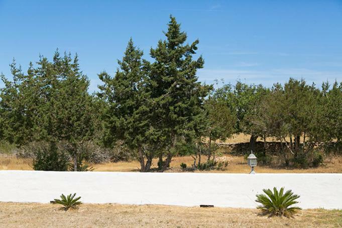 Ferienwohnung Ca Na Maria Teueta Sant Ferran de Ses Roques Exterior foto